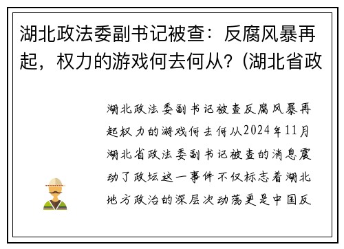 湖北政法委副书记被查：反腐风暴再起，权力的游戏何去何从？(湖北省政法委副书记)