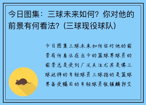 今日图集：三球未来如何？你对他的前景有何看法？(三球现役球队)